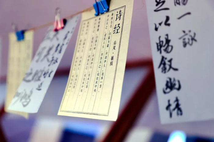 1682433913117615.jpeg 999.jpg