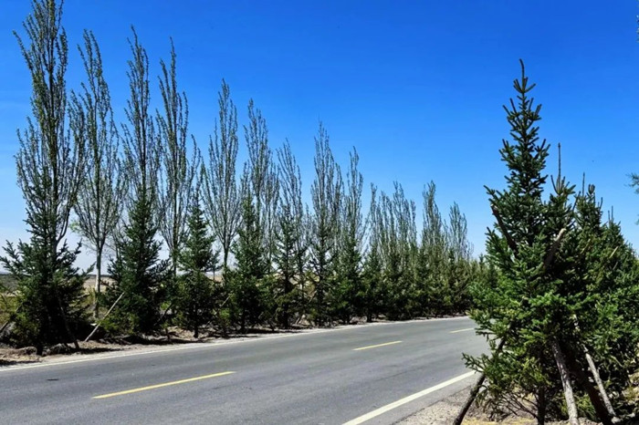 1746695040181924.jpeg 444.jpg