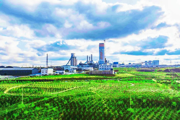 1753200007426617.jpeg 04_¸±±¾.jpg