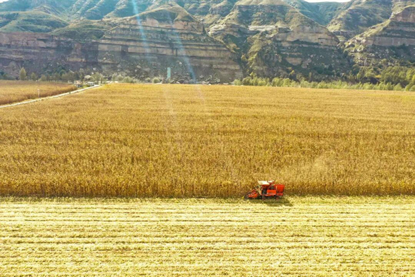 1759597405207637.jpeg 88.jpg