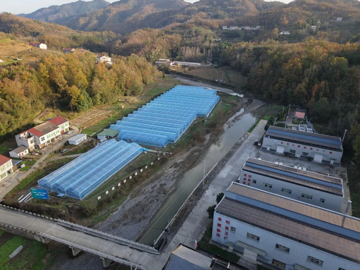 1764029270344454.jpeg 640_¸±±¾.jpg