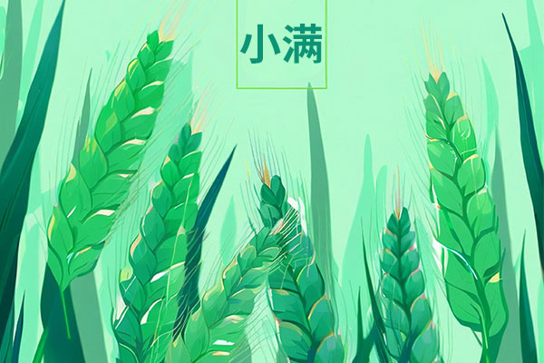 ���g22(����)�������-ÿ���о�ϲ
